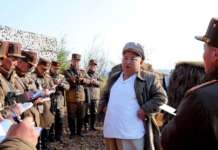 Меридијани