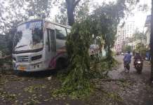 Невремето однесе животи во Индија и во Бангладеш
