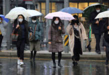 Меридијани