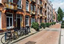 Амстердам ќе прави мини-градини околу корпите за ѓубре