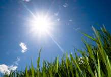 Времето денеска сончево и многу топло