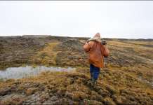 Во Сибир измерени рекордни 38 степени