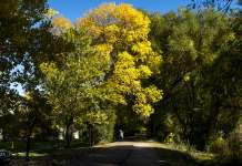 Сончево време со температура до 34 степени