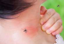 Зошто некои луѓе се магнет за комарци?