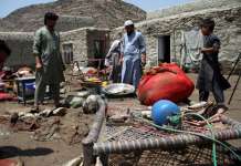 Поплавите однесоа животи во Авганистан