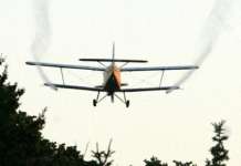 Викендов и следната недела четврта фаза од прскањето против комарци во Скопје