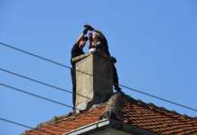 Скопјани незаинтересирани за чистење оџаци