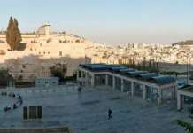 Занимливости