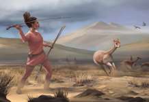 И жените биле ловци