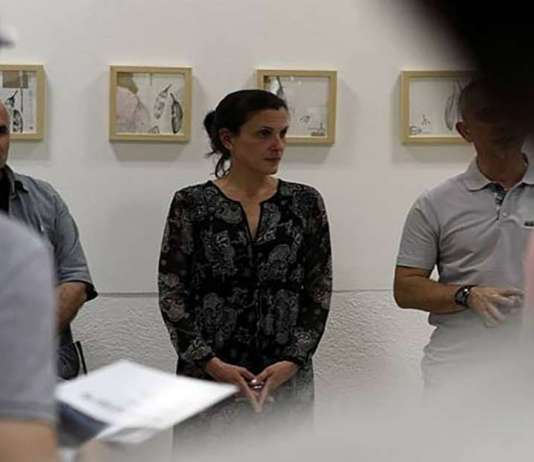 Конзервирањето е благородна работа што бара минимум его