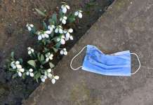 Скопје „посеано“ со отпад од заштитни маски