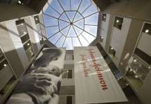 Библиотека во Мичиген затворена поради отровни пајаци