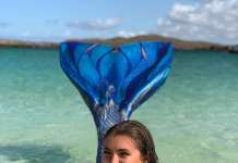 Малата сирена истражува на бреговите на Шкотска