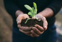 Научете да живеете одржливо