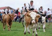 Најбизарните закони во Европа