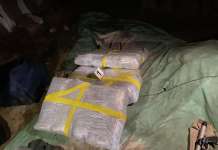 Пресечен меѓународен транспорт на дрога во вредност од 200.000 евра