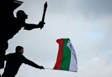 Кукавичино јајце во гнездото на ЕУ