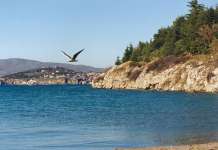 Македонија ги номинираше Охридско Езеро и Студенчишко Блато на Светската Рамсар листа