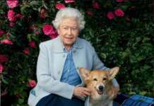 Принцот Ендру ѝ подари куче на кралицата