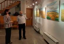 Изложба на Панде Петровски во Битола