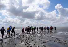 Море со десетина лица