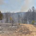 Климатските промени одамна престанаа да бидат апстрактен глобален проблем и сè појасно се чувствуваат и во Македонија