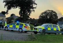 Петмина убиени во оружен напад во Плимут