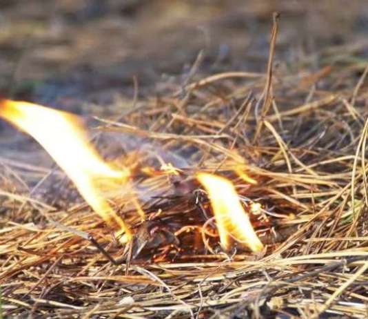 Две нови жаришта кај Делчево, се проширува и пожарот кај Пехчево