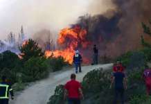 Нема стар и нов систем, туку ефикасен или неефикасен