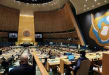 Клучни поенти од обраќањето на светските лидери во ООН