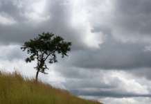 Умерено облачно со сончеви периоди