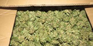 Координирана акција на полицијата во Скопје и Струмица поврзана со опојна дрога