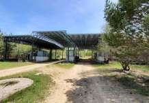 Од бугарско Струмјани бараат побрзо отворање на граничниот премин со Македонија