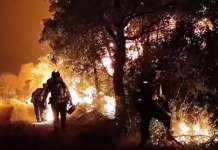 Големи пожари во Шпанија, гори и во близина на Берлин, суша во Италија