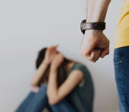 За 11 месеци регистрирани три фемициди во Штип