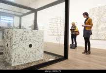 Инсталацијата со муви на Хирст ја разгневи ПЕТА