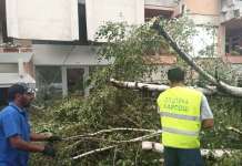 Се санираат последиците од невремето во Скопје