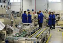 Кои се топ 10 најголеми работодавци во Македонија