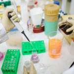 СЗО: Потребна е итна акција за финансирање на здравствените системи во задолжените земји