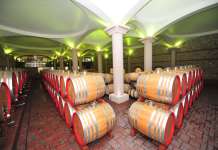 На хрватскиот пазар нема фалсификувани македонски вина!