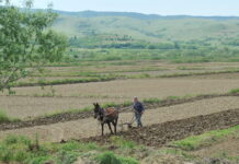 Аграрна реформа за повеќе храна