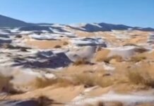 По 11 години, падна снег во Алжир