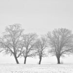 Почна зимата