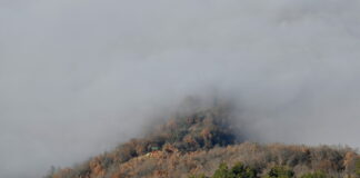 Магла и слаби врнежи од снег кај Плетвар