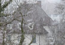 Зимска бура во Франција остави 75.000 домови без струја