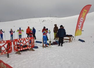Цветановска втора, Јада петти