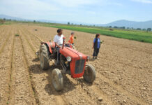 Земјоделски исчекор кон здружување и окрупнување