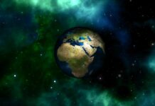 Ден на планетата Земја: Територија со големина на Португалија се губи годишно поради нелегалната сеча на шумите