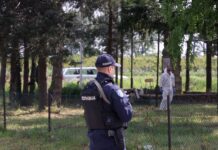 Сите 13 ранети во пукањето кај Младеновац се во животна опасност, оперирани тешко повредените