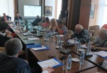 Академиците дебатираа за подобра подготовка на земјава за претстојните фази од евроинтеграцискиот процес